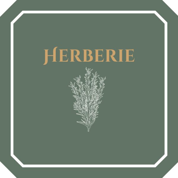 Découvrez l’herberie de Coutumes et Rituels : un véritable jardin d’aromatiques et de plantes médicinales Plongez dans un univers où la nature dévoile ses secrets. Cette herberie propose une sélection d’herbes séchées, de fleurs et d’épices aux vertus multiples : thym, sauge, ortie, sureau, lavande, verveine, romarin, menthe ou encore achillée millefeuille. Ces plantes officinales et aromatiques sont idéales pour accompagner vos rituels, vos spell jars, créer des remèdes naturels, ou enrichir vos pratiques de phytothérapie.