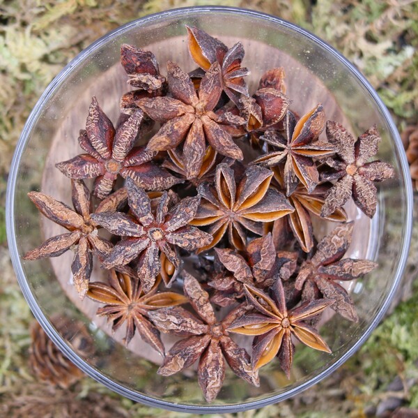 La badiane, originaire du Viêt-Nam, est une épice en étoile réputée pour ses propriétés spirituelles, comme la purification et l'attraction de bénédictions.