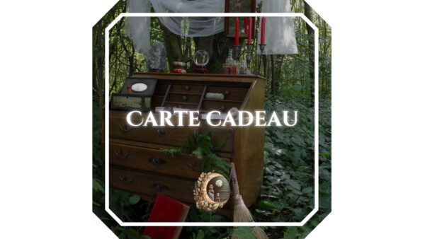 Carte cadeau personnalisée Offrir une carte cadeau Idée cadeau pratique Carte cadeau instantanée Bon cadeau en ligne Carte cadeau pour toutes occasions Cadeau de dernière minute Carte cadeau électronique Offrir une expérience cadeau