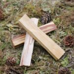 Palo Santo : Purification Spirituelle avec Bois Sacré du Pérou