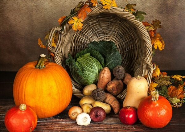 Thanksgiving, souvent résumé à une dinde dorée et des réunions familiales, cache une richesse d’histoires, de légendes et de coutumes qui méritent d’être explorées. Cette fête emblématique des États-Unis, célébrée chaque quatrième jeudi de novembre, puise ses racines dans des récits empreints de résilience, d'entraide et de gratitude. Plongeons dans les mystères et anecdotes qui rendent cette célébration si unique.