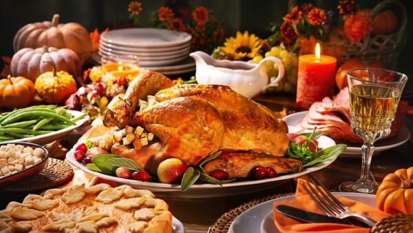 La dinde est devenue l’emblème de Thanksgiving, mais son omniprésence est entourée de mythes. Le premier festin de 1621 aurait probablement inclus du gibier, des poissons, et des fruits de mer, plutôt que des dindes rôties. Ce n’est qu’au XIXe siècle que cet oiseau a pris sa place au centre des tables, grâce à sa taille idéale pour nourrir une famille et à sa disponibilité. Et que dire de la fameuse tradition des pardons présidentiels ? Chaque année, une dinde est graciée par le président américain. Cette coutume humoristique remonterait à Abraham Lincoln, qui aurait épargné une dinde pour satisfaire son fils. Mais ce n’est qu’en 1989 que George H. W. Bush officialisa cette cérémonie devenue un moment emblématique.