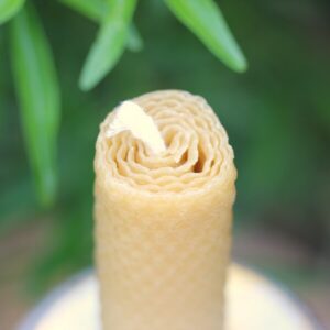 Bougie cylindrique en cire naturelle avec mèche en coton sur un bougeoir rustique en bois, idéale pour une décoration écologique et chaleureuse