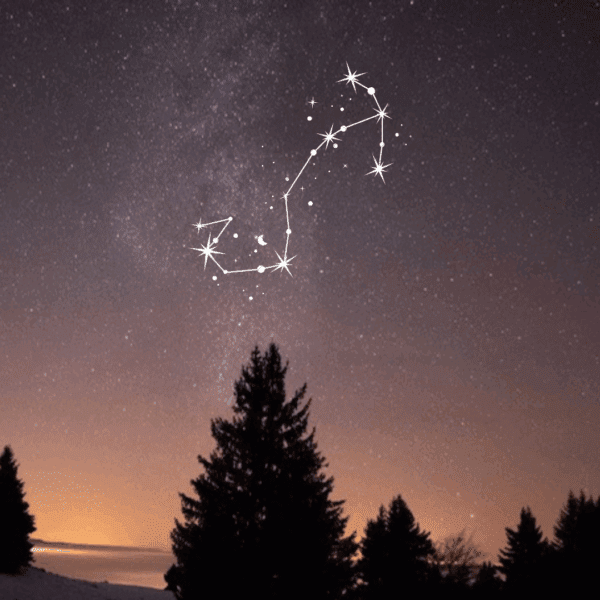 Le Premier Quartier de Lune du 1er août 2025 s’inscrit sous l’influence astrale du Scorpion, signe d’eau intense du zodiaque, reconnu pour sa profondeur émotionnelle, son pouvoir de régénération et son appétit de transformation radicale. Cette phase lunaire, propice aux interprétations ésotériques, amplifie les énergies de mutation intérieure et d’évolution personnelle. Sur le plan de l’horoscope, cette Lune en Scorpion vient activer des dynamiques puissantes, où intuition, instincts profonds et révélations prennent le pas sur la surface. En numérologie comme en astrologie, cette période symbolise une transition vibratoire, soutenue par les cycles lunaires et leur influence sur notre alignement intérieur.