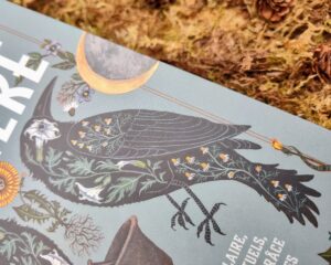 Un jardin luxuriant rempli d’herbes aromatiques, de fleurs sauvages et de plantes médicinales comme celles présentées dans le livre