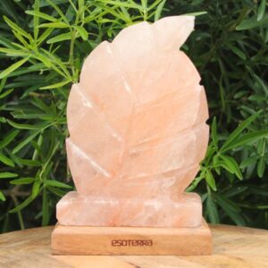 Lampe de sel de l’Himalaya sculptée en forme de feuille sur socle en bois