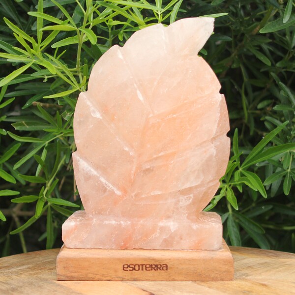 Lampe de sel de l’Himalaya sculptée en forme de feuille sur socle en bois