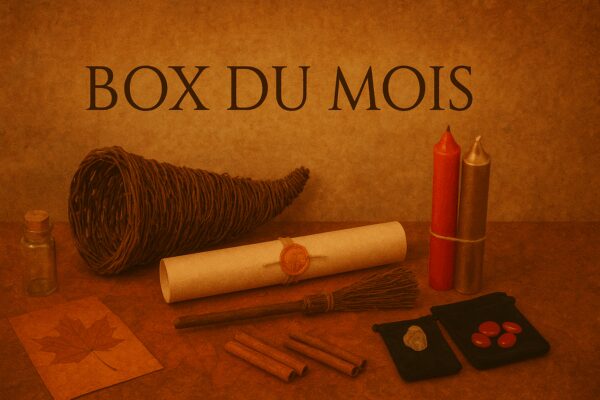 Chaque mois, un rituel sacré s’invite dans votre vie. Parchemins anciens, herbes de purification, pierres vibrantes et bougies chargées sous la pleine lune composent une offrande dédiée aux forces invisibles. Dans l’écrin de cette box, se révèlent les secrets des sorcières et des mages : incantations, sortilèges, pentacles et symboles protecteurs… Entre magie blanche d’amour et de guérison, pratiques de divination, invocation des anges ou rituels inspirés de la Wicca, chaque coffret devient une passerelle vers les puissances subtiles. Recevoir cette box, c’est entrer dans le cercle des magiciens et sorcières, c’est goûter à l’envoûtement, c’est se relier aux mystères de la Déesse et de la nature. Une expérience rare, initiatique, et précieuse : un rituel mensuel pour éveiller la force magique en vous.
