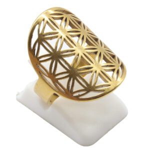 Découvrez notre bague Fleur de Vie en inox plaquée or, symbole d’harmonie et d’équilibre. Taille ajustable, design élégant et spirituel, parfaite pour un cadeau ou un bijou quotidien.