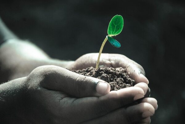La paix est plus qu’une idée, c’est une véritable force de vie. Elle s’incarne dans la non-violence, la sérénité et l’harmonie entre les êtres humains. Choisir la réconciliation plutôt que le conflit, la tolérance au lieu de la haine et le dialogue face aux divisions, c’est bâtir une concorde durable. La fraternité et l’entente deviennent alors des piliers essentiels de la solidarité universelle. La paix intérieure et la paix universelle Pour beaucoup, la paix intérieure est la première étape avant d’atteindre la paix universelle. Trouver un état de sérénité, cultiver la bienveillance et développer la compassion nous rapprochent de notre propre humanité. En vivant en équilibre, en accord avec le respect de soi et des autres, nous faisons grandir la justice et la liberté autour de nous. Construire et cultiver la paix La paix mondiale ne se décrète pas, elle se construit pas à pas. Il s’agit de vivre en paix, de construire la paix par nos choix quotidiens et de cultiver la paix dans nos relations. Chaque geste de confiance, de douceur et d’espérance nourrit un véritable esprit de paix. Gandhi, guide de la non-violence et de la paix Le Mahatma Gandhi incarne cette vision universelle. Par son engagement dans l’Ahimsa (la non-violence) et le Satyagraha (la force de la vérité), il a montré que la résistance pacifique pouvait libérer un peuple sans armes. Son héritage reste une révolution pacifique, un chemin de paix qui continue d’inspirer le monde entier. Un héritage vivant Aujourd’hui encore, l’appel à la paix résonne partout : dans les mouvements pour la justice sociale, dans les dialogues entre cultures, et dans chaque effort pour préserver l’unité et l’humanité. Suivre l’exemple de Gandhi, c’est croire en la force de la paix et en sa capacité à transformer le monde.