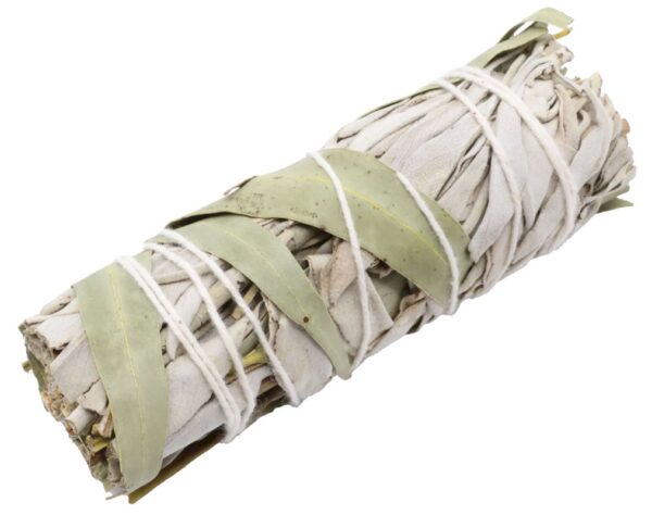 Fagot de Sauge Blanche & Eucalyptus 10 cm. Fumigation purifiante et rafraîchissante, idéale pour la méditation, la relaxation et la purification énergétique des espaces.
