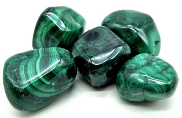 Pierre d’harmonie et de puissance, la Malachite est une alliée précieuse pour toutes celles et ceux qui souhaitent avancer sur leur chemin personnel, purifier leurs émotions et renforcer leur ancrage dans une énergie positive et protectrice.
