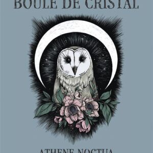 Petit oracle compact tenant dans une main, idéal pour une guidance quotidienne.