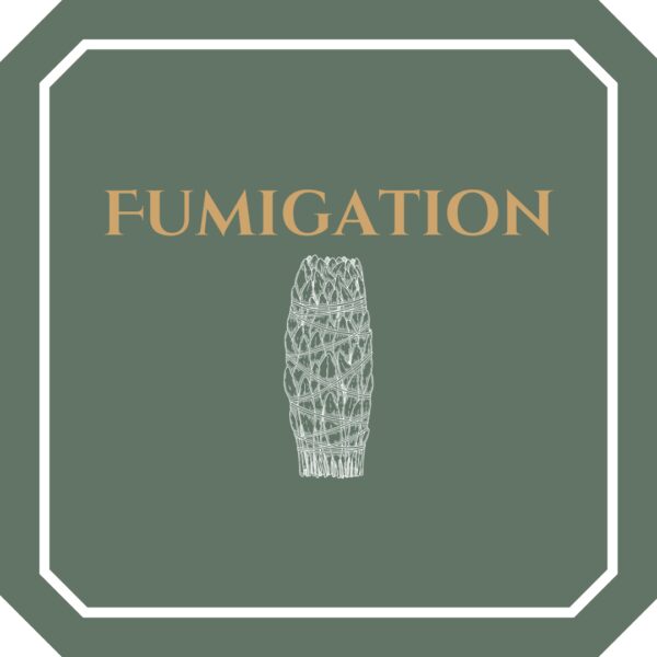 Découvrez nos produits de fumigation authentiques de qualité supérieure : sauge, Palo Santo, idéaux pour vos rituels et purifications.