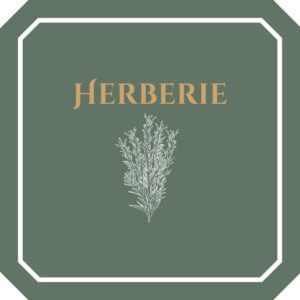 Herberie