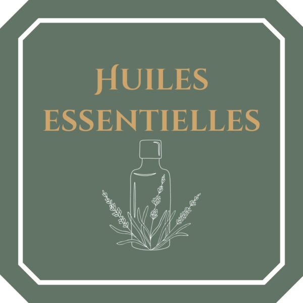 Découvrez notre sélection d’huiles essentielles (EO) pures et naturelles, extraites par distillation ou pression à froid. Chaque EO est rigoureusement choisie pour sa qualité, sa traçabilité et son efficacité. Que vous soyez amateur d’aromathérapie, de soins bien-être ou de créations maison (DIY cosmétiques, bougies, produits ménagers naturels), nos huiles essentielles répondent à vos besoins quotidiens. 🌿 Nos engagements : Huiles essentielles 100 % pures, naturelles et non dénaturées Large choix d’EO : lavande, tea tree, eucalyptus, citron, menthe poivrée et bien plus Formats adaptés pour débutants comme pour passionnés Utilisation possible en diffusion, massage (diluées), ou dans vos recettes maison 💧 Faites de chaque EO une alliée de votre équilibre, pour une atmosphère saine, apaisante et énergisante au quotidien.