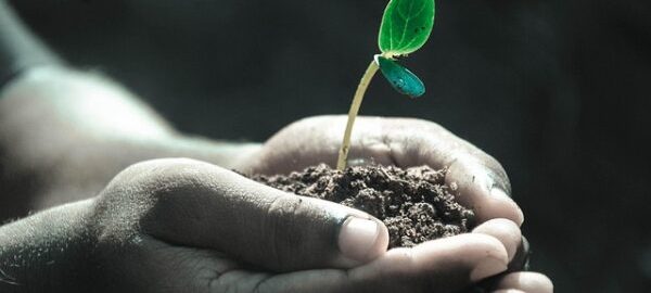 La paix : un chemin d’harmonie et de non-violence La paix est plus qu’une idée, c’est une véritable force de vie. Elle s’incarne dans la non-violence, la sérénité et l’harmonie entre les êtres humains. Choisir la réconciliation plutôt que le conflit, la tolérance au lieu de la haine et le dialogue face aux divisions, c’est bâtir une concorde durable. La fraternité et l’entente deviennent alors des piliers essentiels de la solidarité universelle. La paix intérieure et la paix universelle Pour beaucoup, la paix intérieure est la première étape avant d’atteindre la paix universelle. Trouver un état de sérénité, cultiver la bienveillance et développer la compassion nous rapprochent de notre propre humanité. En vivant en équilibre, en accord avec le respect de soi et des autres, nous faisons grandir la justice et la liberté autour de nous. Construire et cultiver la paix La paix mondiale ne se décrète pas, elle se construit pas à pas. Il s’agit de vivre en paix, de construire la paix par nos choix quotidiens et de cultiver la paix dans nos relations. Chaque geste de confiance, de douceur et d’espérance nourrit un véritable esprit de paix. Gandhi, guide de la non-violence et de la paix Le Mahatma Gandhi incarne cette vision universelle. Par son engagement dans l’Ahimsa (la non-violence) et le Satyagraha (la force de la vérité), il a montré que la résistance pacifique pouvait libérer un peuple sans armes. Son héritage reste une révolution pacifique, un chemin de paix qui continue d’inspirer le monde entier. Un héritage vivant Aujourd’hui encore, l’appel à la paix résonne partout : dans les mouvements pour la justice sociale, dans les dialogues entre cultures, et dans chaque effort pour préserver l’unité et l’humanité. Suivre l’exemple de Gandhi, c’est croire en la force de la paix et en sa capacité à transformer le monde.